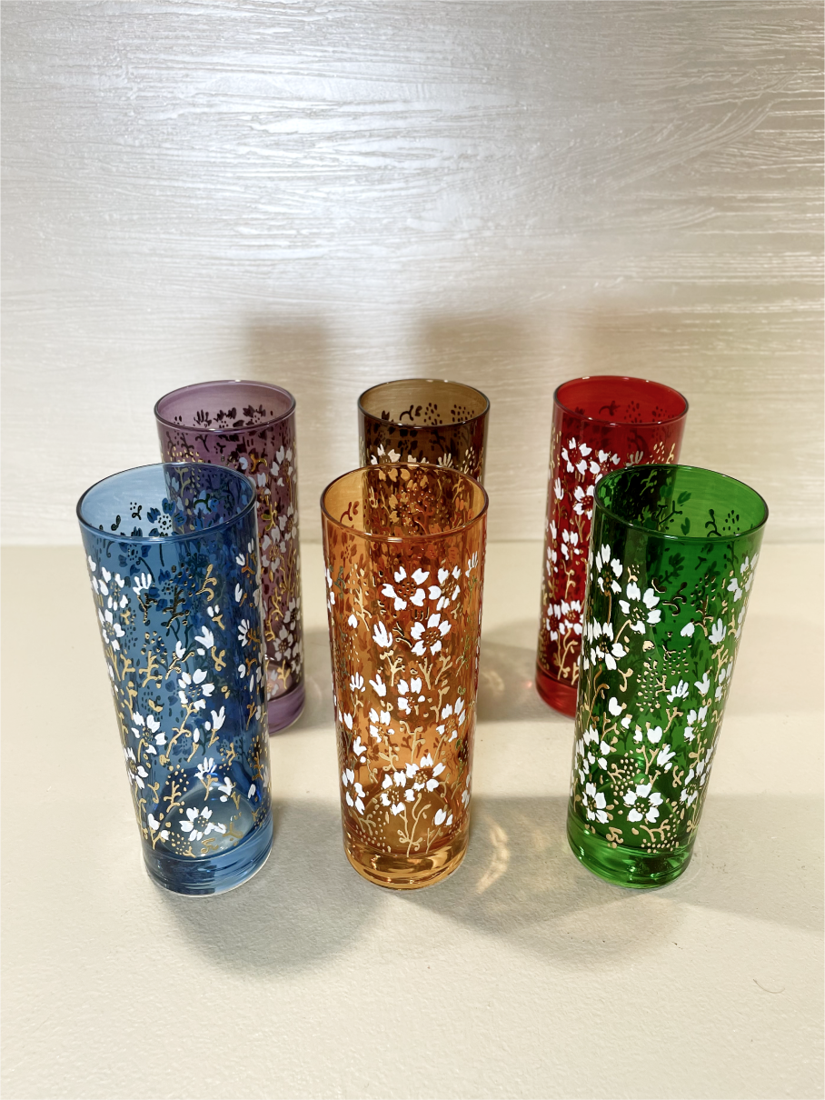 Ensemble de 6 Verres Longs en Verre Tinté Multicolore avec Motif Floral
